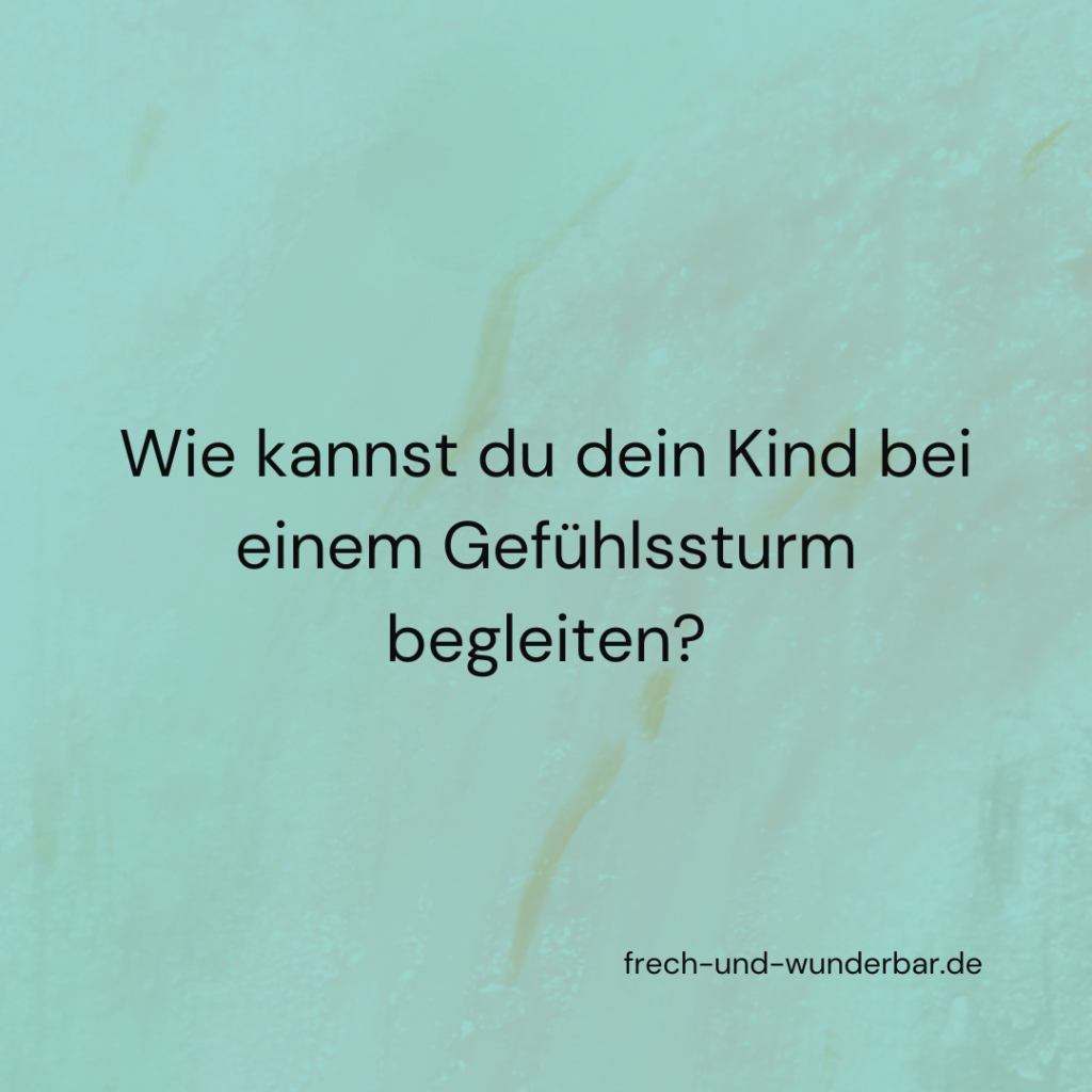 Wie du dein Kind bei einem Gefühlssturm begleiten kannst - Frech & Wunderbar - liebevolle und bindungsorientierte Erziehung